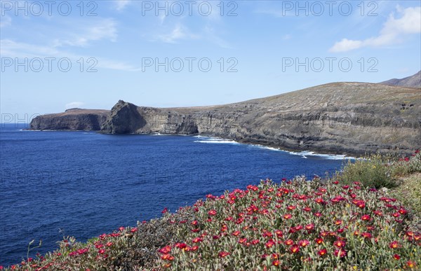 Cliffs in Agaete