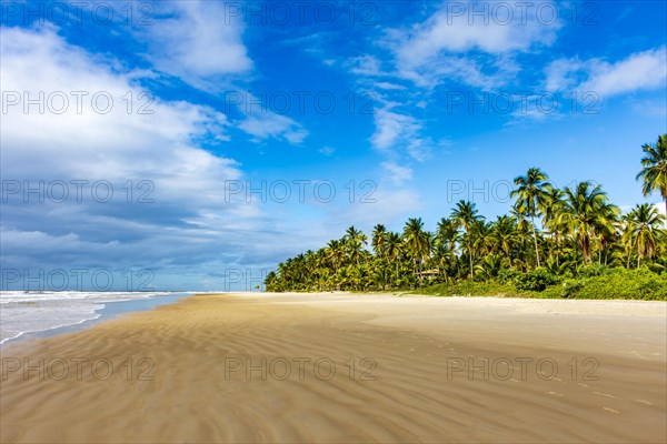 Landscape of the idyllic beach of Sargi with its coconut trees and sand meeting the sea in Serra Grande on the coast of Bahia