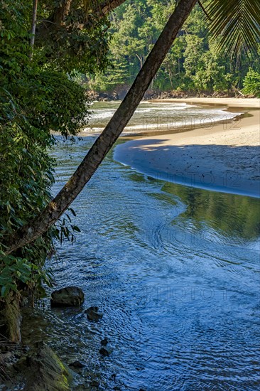 River flowing towards the sea through rainforest at wild deserted beach in Itacare coastal Bahia