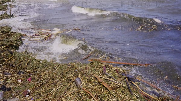 Window frame of house and other drifting debris has reached Black Sea beaches in Odessa