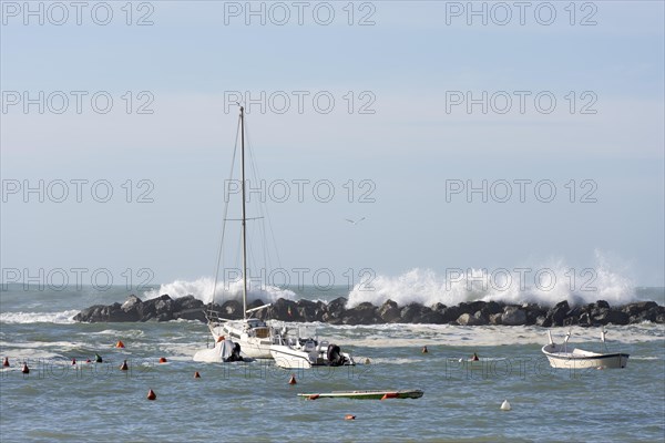 Boats in a Port with Big Waves in Sestri Levante