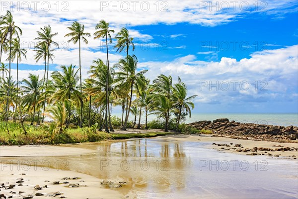 Small deserted beach hidden between rocks and coconut trees in the town of Serra Grande on the coast of Bahia
