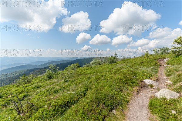 Landscape of the High Vosges near the riverbank road in spring. Collectivite europeenne d'Alsace