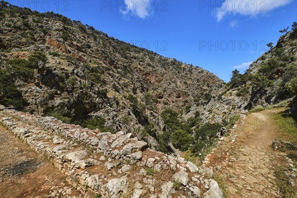 Dynamic composition of typical Greek or Cretan landscape with hills or mountains full of fresh spring greenery and paved paths crossing. Clear blue sky and clouds in spring daytime. Avlaki gorge of Akrotiri peninsula