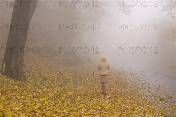 Woman Walking on a Foggy Road in Autumn with Yellow Leaves in Switzerland