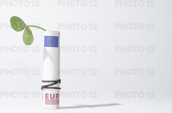 The Bill of Rolled Ten Euro with Three Leaf Clover and Rubber Band with Shadow