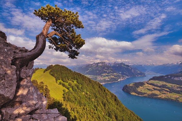 View of the Lake of Uri and the Central Swiss Pre-Alps