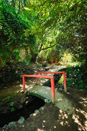 Red Chinese style bridge with wooden railings in lush greenery of asian part of tropical botanical garden in Lisbon