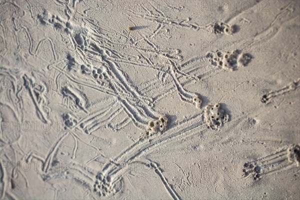 Patterns on a freshly poured concrete surface