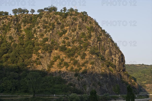 Loreley