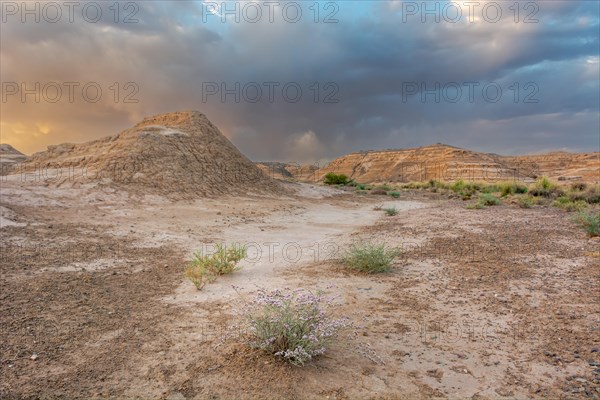 Desert landscape in North Africa at sunset. Skoura