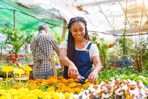 Happy plant and flower nursery worker cutting the plants in the greenhouse