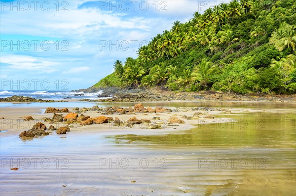 Deserted and rocky beach with forest and coconut trees on top of the hill in Serra Grande in Bahia