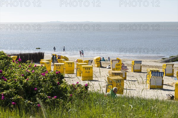 Yellow beach chairs and mudflats