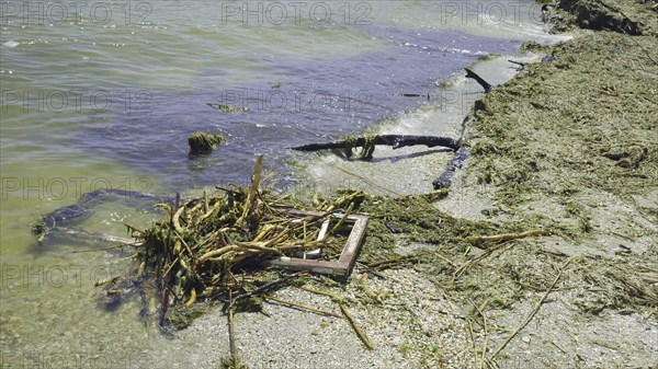 Window frame of house and other drifting debris has reached Black Sea beaches in Odessa