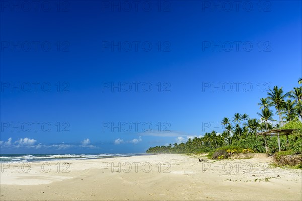 Stunning Sargi beach surrounded by the sea and coconut trees in Serra Grande on the coast of Bahia