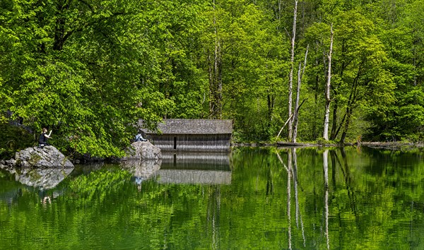 Obersee near Salet