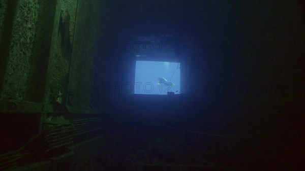 Scuba diver swims in blue water