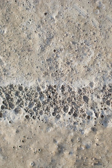 Patterns on a freshly poured concrete surface