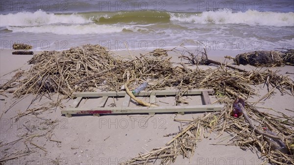 Floating debris has reached Black Sea beaches in Odessa