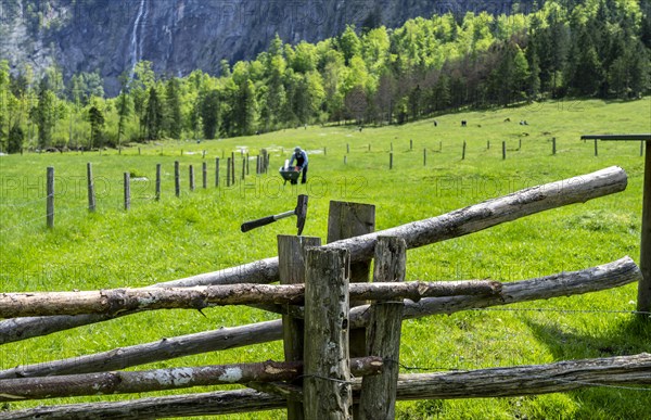 Alpine farmer working on the wooden fence