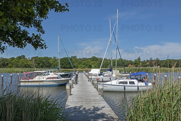 Sailing boats