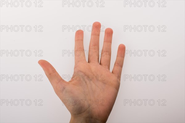 Human hand palm and fingers on a white background