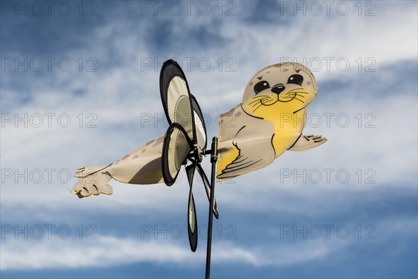 Sea seal as wind chime