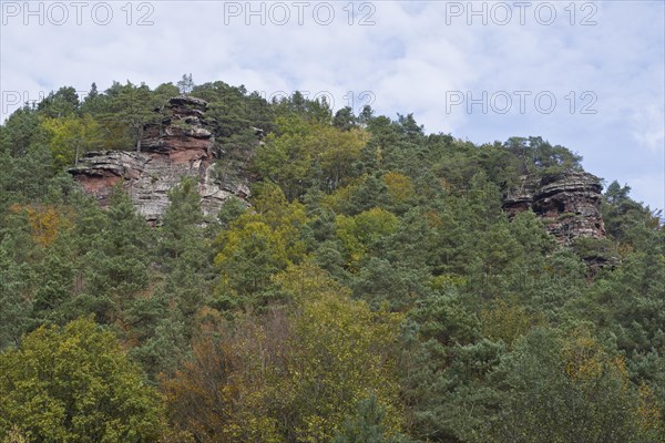 Rocks in the Palatinate Forest