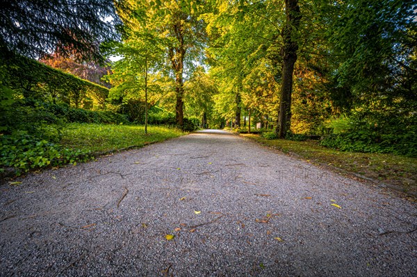 An avenue with old trees at the North Cemetery