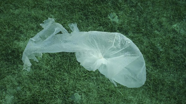 Top view of old plastic bag drifting above bottom covered with Round Leaf Sea Grass