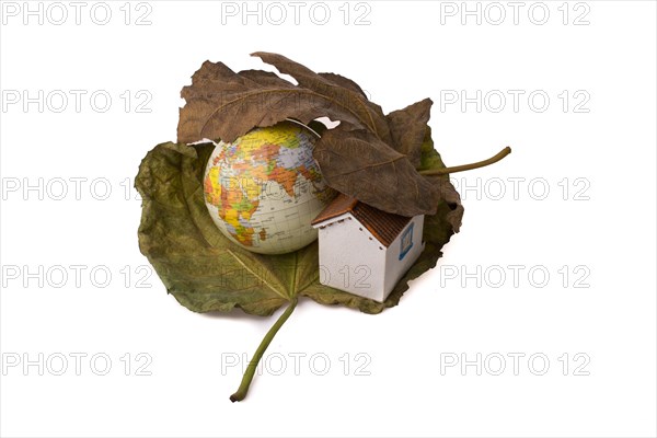 Model globe and a little model house placed between two Autumn leaves