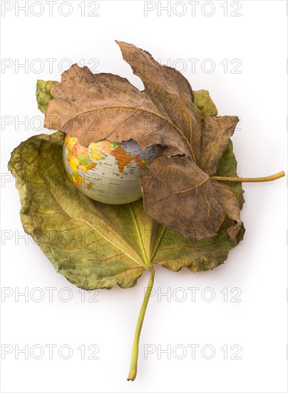 Little model globe placed between two large Autumn leaves