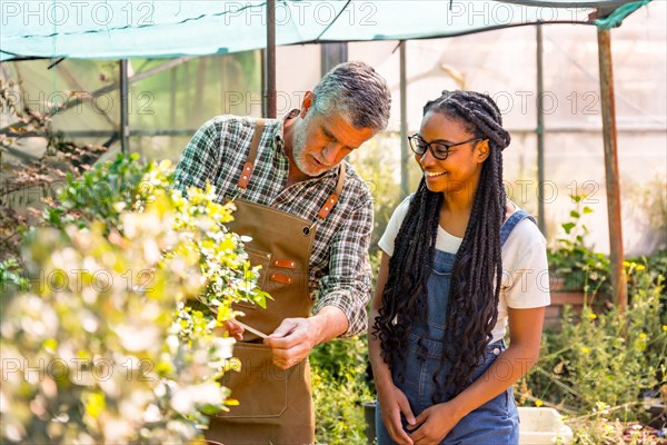 Flower nursery workers checking plants in the greenhouse