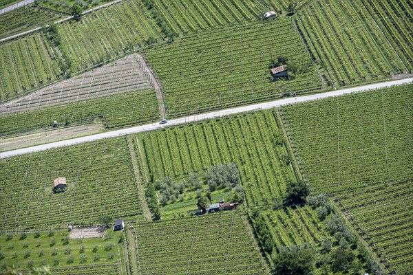 Fields and small huts from above