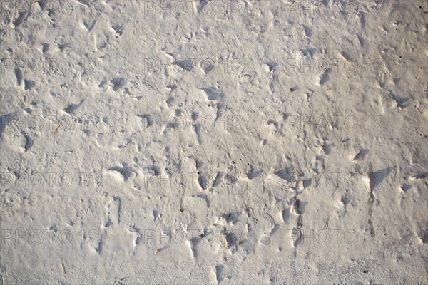 Patterns on a freshly poured concrete surface
