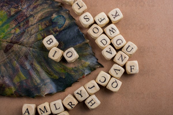 Letter cubes of made of wood around dry leaf