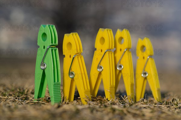 On Green and Four Yellow Clothespin Standing up Together