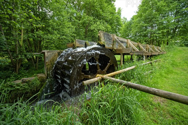 Water wheel Trubachtal