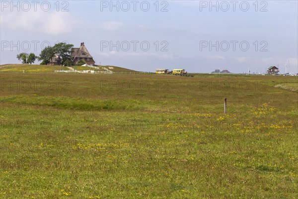 Hallig Hooge