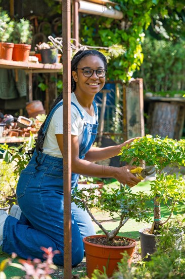 Portrait of black ethnic woman with braids gardener working in the nursery inside the greenhouse cutting the bonsai trees