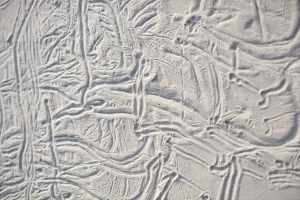 Patterns on a freshly poured concrete surface