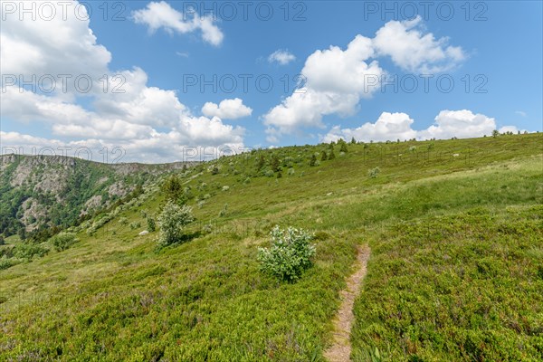 Landscape of the High Vosges near the riverbank road in spring. Collectivite europeenne d'Alsace