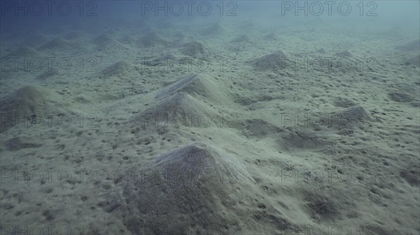 Sandy silty bottom covered with sand hills