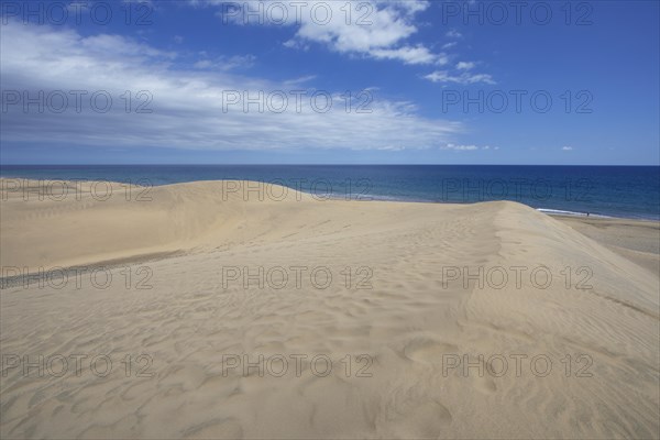 Maspalomas Dunes Nature Reserve