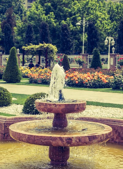 Water gushing off the fountain in the rose garden