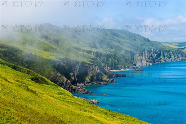 Sea Fret over Cliffs