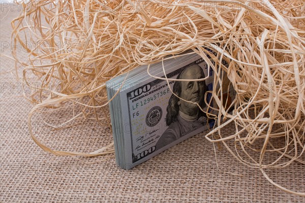 Banknote bundle of US dollar in a straw pile on canvas