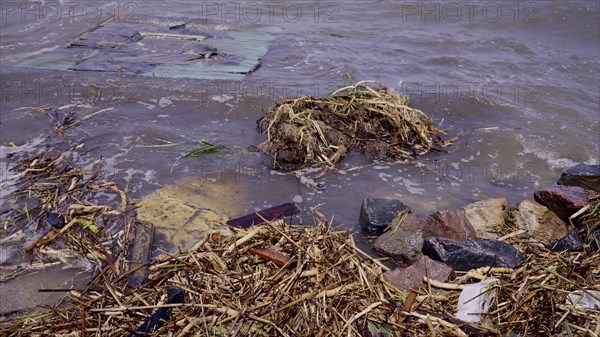 Environmental disaster caused by explosion of Kakhovka Hydroelectric Power Plant dam