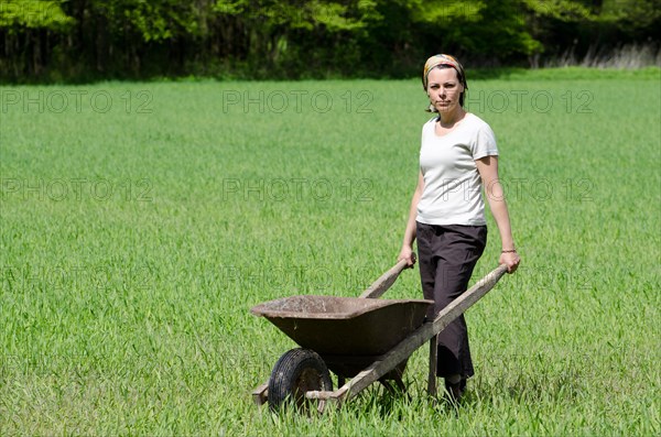 Woman with a wheelbarrow on the field